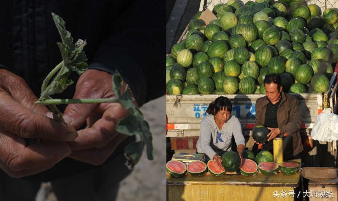潮男发型推荐——卡尺头