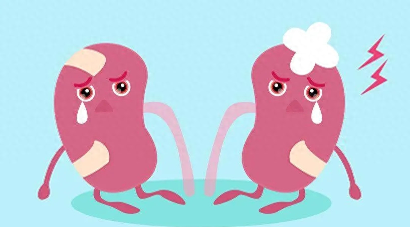 头发白，头发少，多是因为肾虚，教你一招，轻松补肾 ...