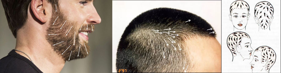 为 AAA 游戏制作头发和胡须