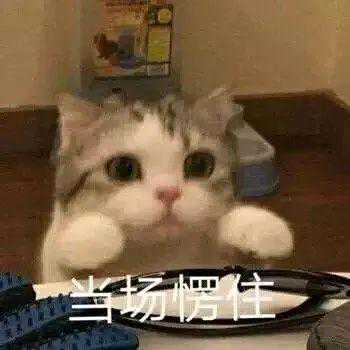 你是什么脸型，头发绑多高！绑错真的很丑