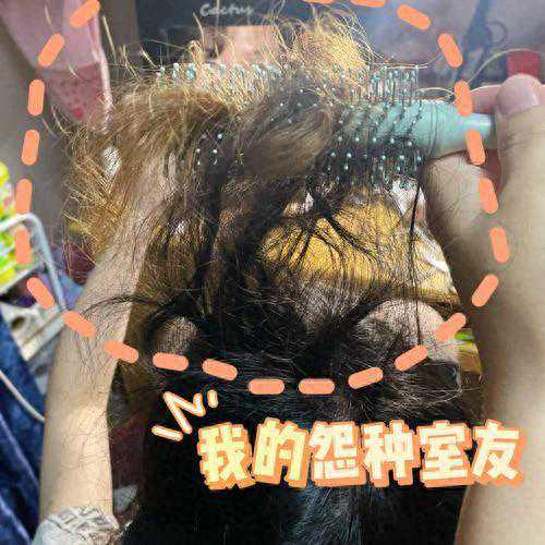 山西：女子头发缠进卷梳舍不得剪报警求助