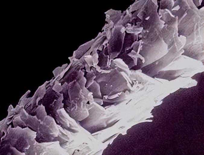 洗完头发要立即吹干吗？原来这么多人都做错了