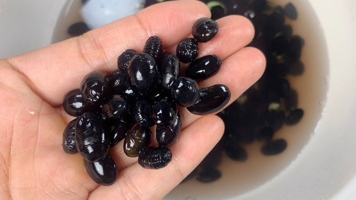 它才是“养肾猛将”，隔天喝一次，阴阳双补，头发密了，气色好了