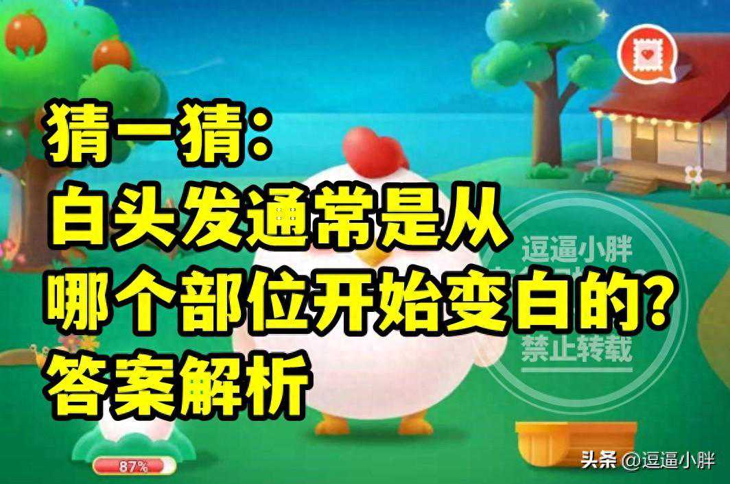 白头发从哪个部位开始变白？哪种洋葱新鲜度高？蚂蚁庄园教育答案