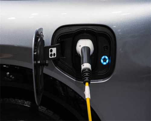 女子体验免费植发反被剃掉大面积头发