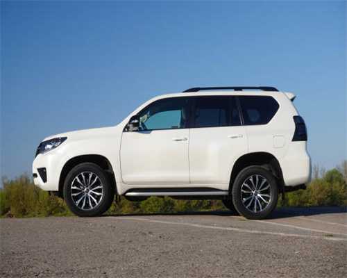 太“秃”然，头发掉的越来越厉害